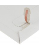 Cardboard mail envelopes 262x371mm 100 pcs Shipping cartons