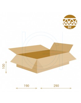 Cardboard Box Fefco-0201 DW 290x190x100mm