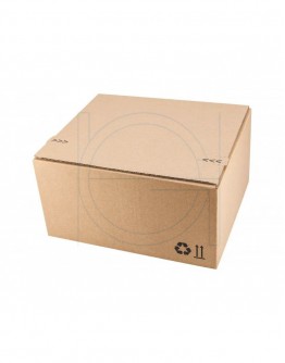 Ecomm-26 shipping box  Autolock - 220x190x120mm